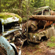 Image for article titled Get Lost In Europe's Largest Car Cemetery Hidden In The Swedish Woods